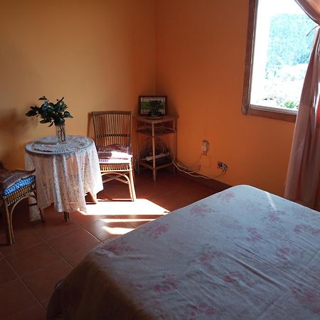Habitacion Cama Matrimonial En A Armenteira Gil Eksteriør billede